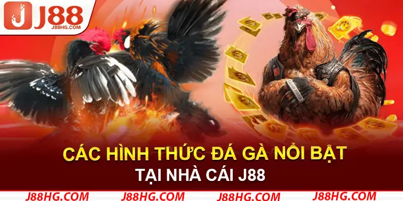 Những bản đá gà J88 hot nhất 2025